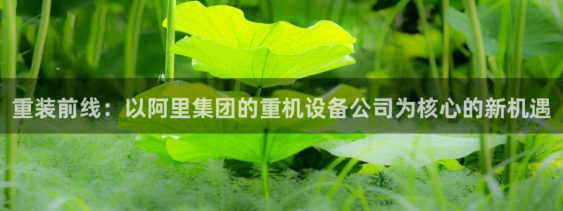 威九国际全国空降：重装前线：以阿里集团的重机设备公司为核心的