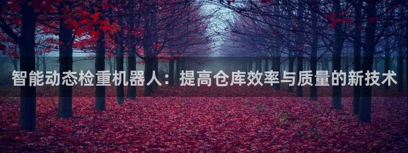 威九国际app大全下载安装：智能动态检重机器人：提高仓库效率