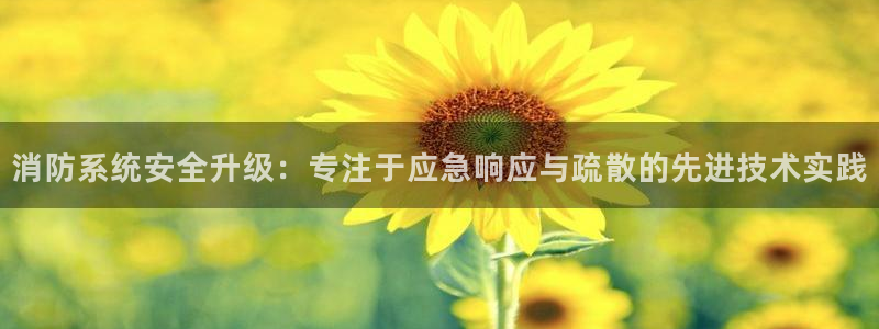 威九国际合作伙伴有哪些