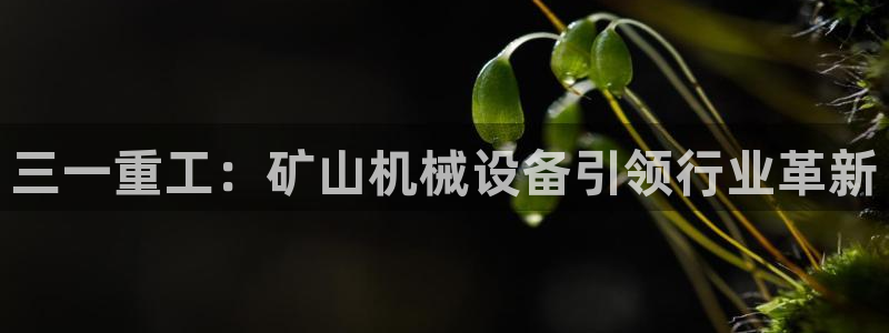 威九国际78m光伏巨头隆基绿能esg成色：三一重工：矿山机械