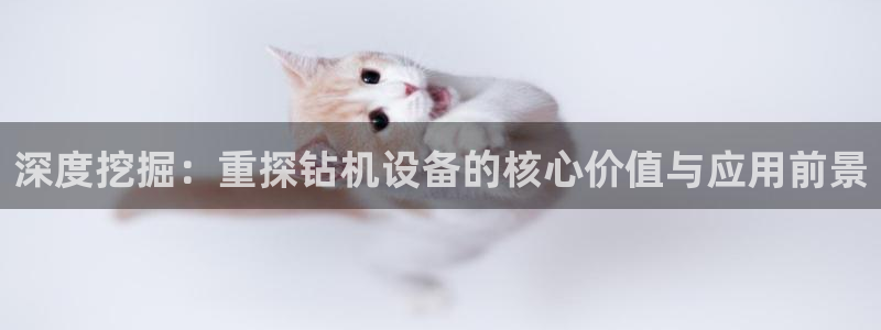 保定威九网络科技有限公司电话