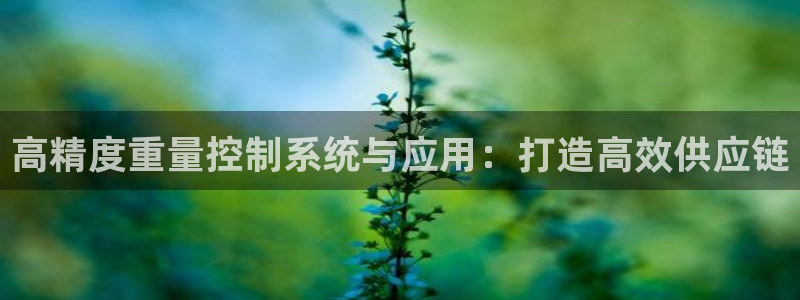 78mapp威九国际神曲口服液：高精度重量控制系统与应用：打