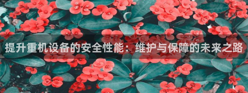威九国际旗下艺人都有谁：提升重机设备的安全性能：维护与保障的