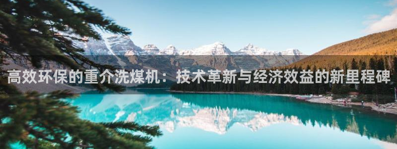 保定威九网络科技有限公司电话：高效环保的重介洗煤机：技术革新