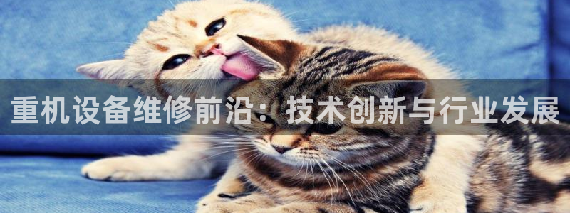 78mapp威九国际免费官方版下载：重机设备维修前沿：技术创