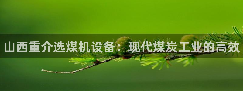 威九国际娜娜：山西重介选煤机设备：现代煤炭工业的高效
