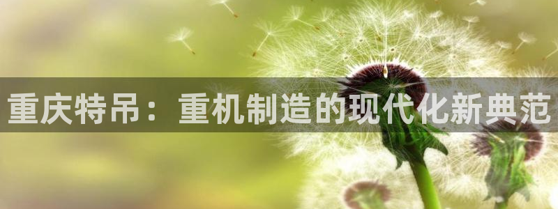 威九国际网站入口官网首页下载：重庆特吊：重机制造的现代化新典