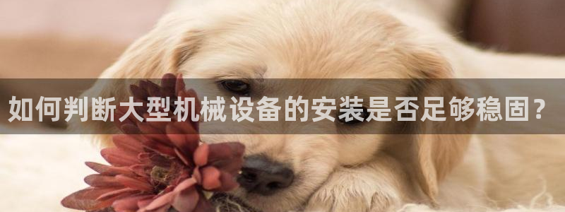 威九国际MM：如何判断大型机械设备的安装是否足够稳固？