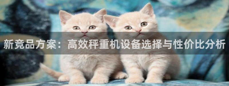 威九国际的女主：新竞品方案：高效秤重机设备选择与性价比分析