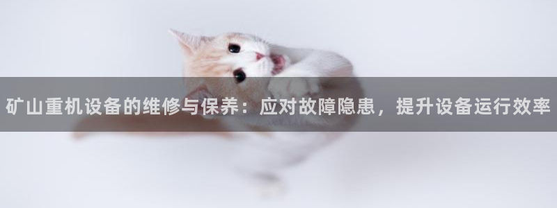 威九国际网站在哪里