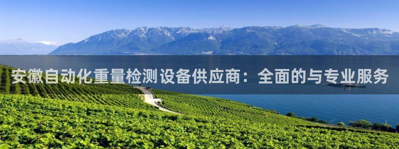 威九国际客服电话号码是多少：安徽自动化重量检测设备供应商：全