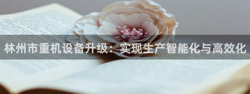 威九国际成长模式怎么样：林州市重机设备升级：实现生产智能化与